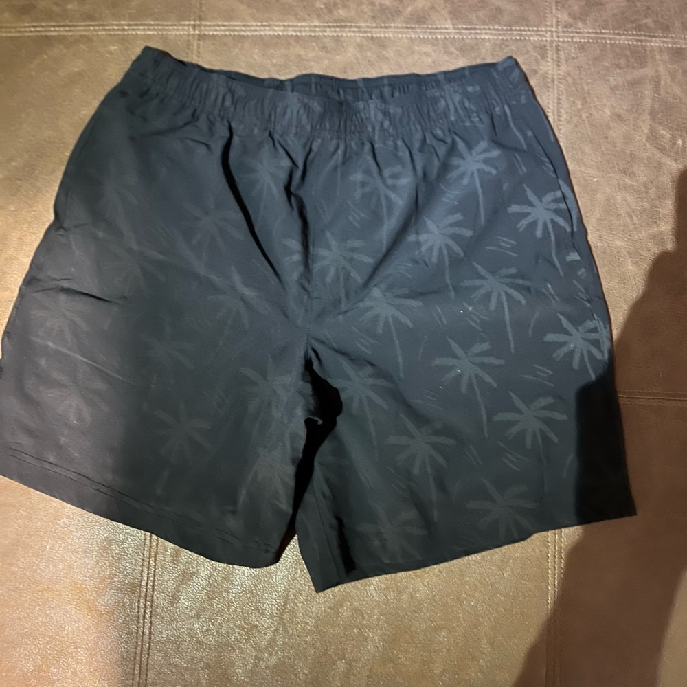 Chubbies Shorts w/Liner